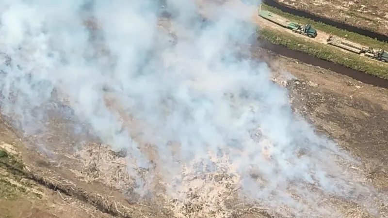Wildfire Burns More Than 370 Acres in Hyde County