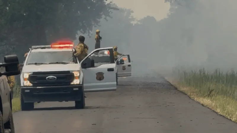 Rose Bay Canal fire grows to over 600 acres in Hyde County