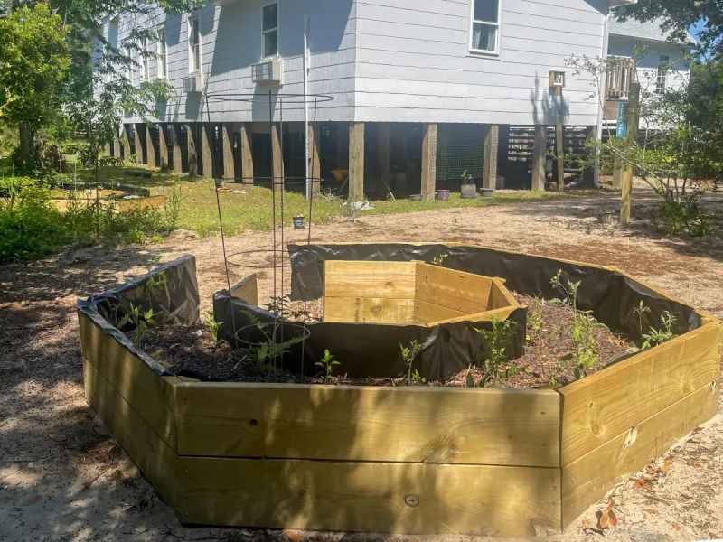 New community garden aims to provide good food and sanctuary