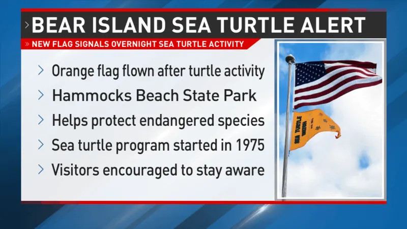 Hammocks Beach State Park introduces sea turtle activity flag on Bear Island