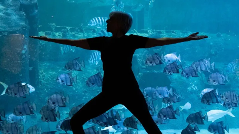 Yoga at the Aquarium brings zen to Pine Knoll Shores