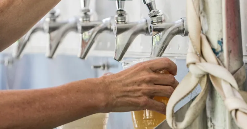 Casual drinker? You still have a 1 in 25 risk of dying, study says