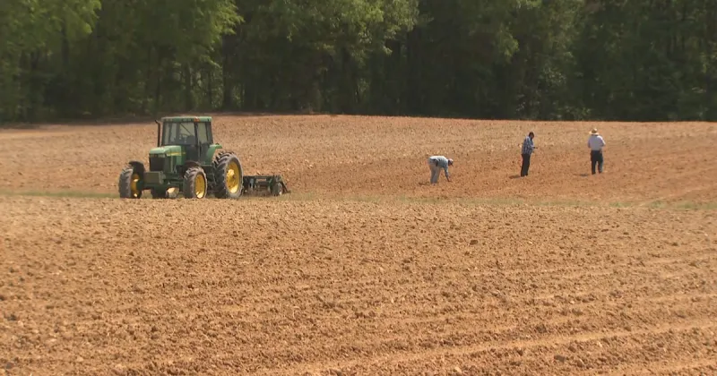 Stein signs sweeping North Carolina agriculture bill into law