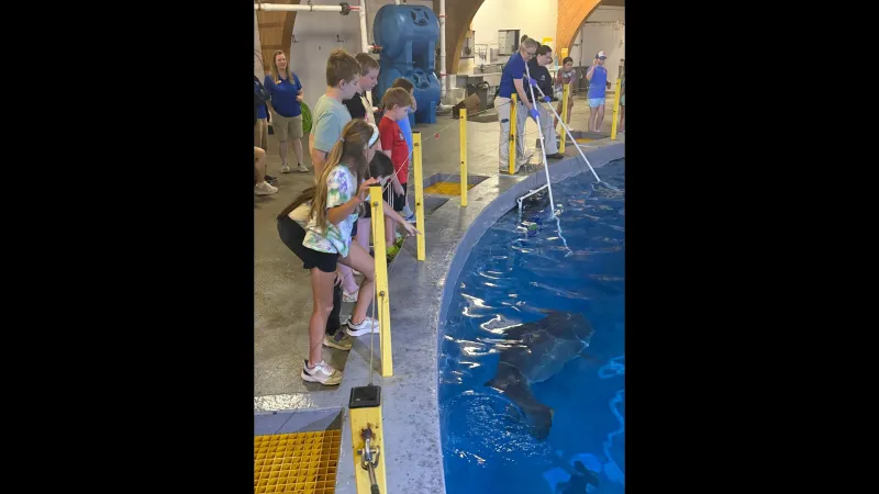North Carolina Aquarium on Roanoke Island Splashes Into Summer with Fresh, Fun-Filled Camps for Kids