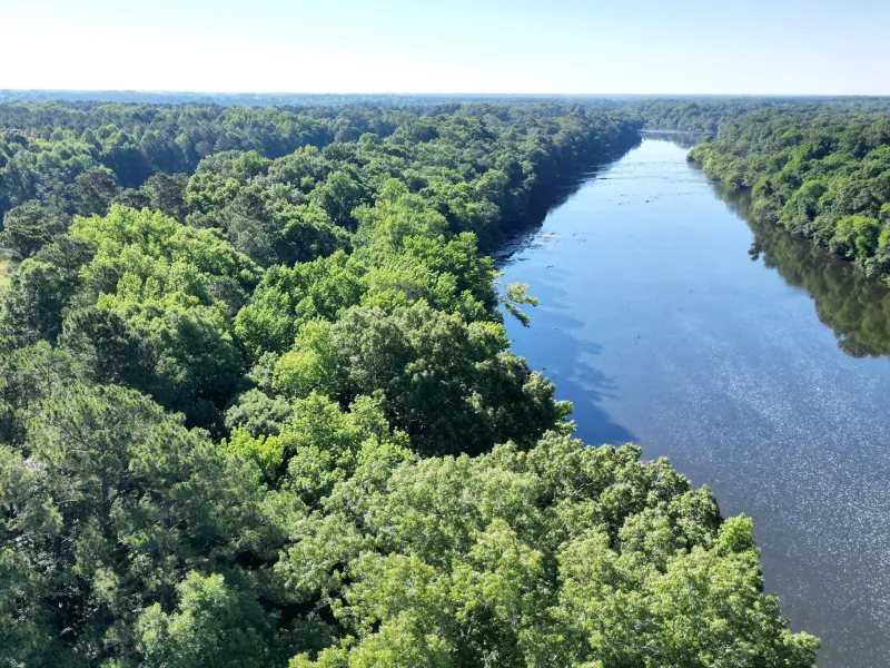 Campbell launches website detailing reforestation at its River Park property