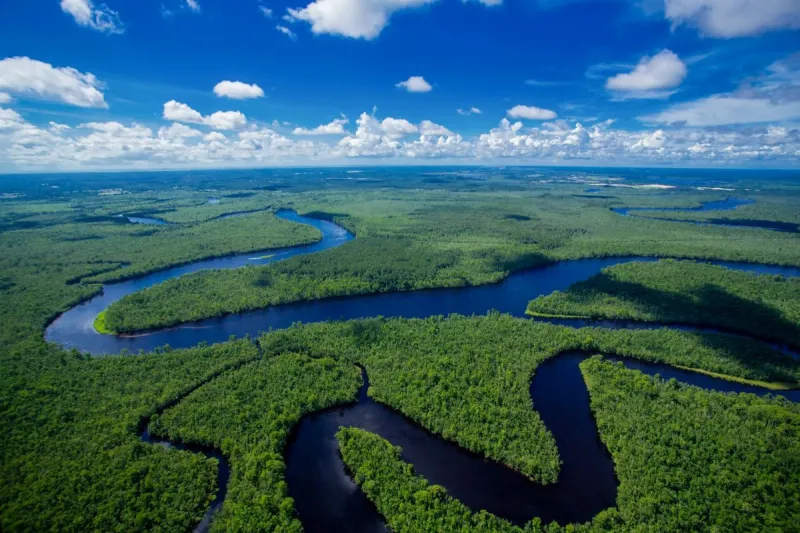 Nonprofit, developer carve path to protect Sledge Forest tract