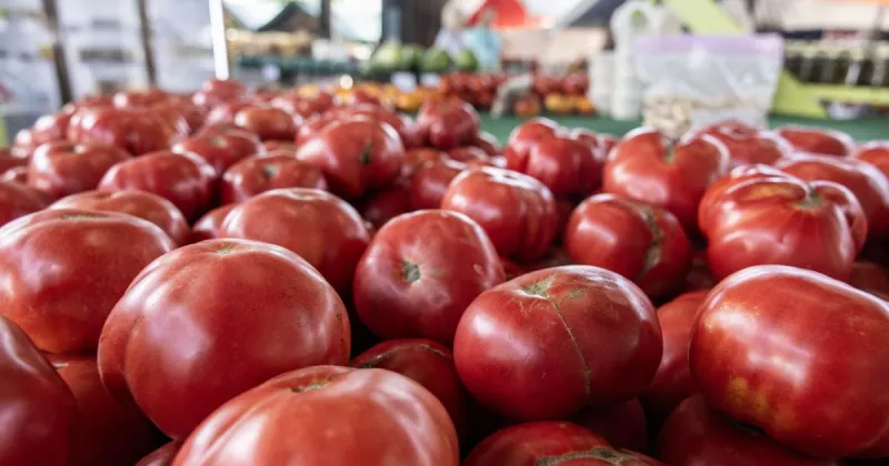 Your guide to Triad farmer's markets: Where to go - and what's in season