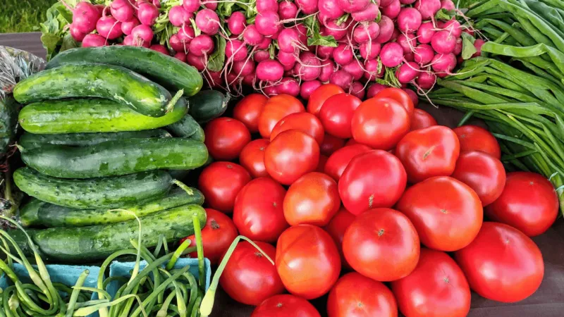 Pay-it-forward model brings fresh produce and protein to Magnolia