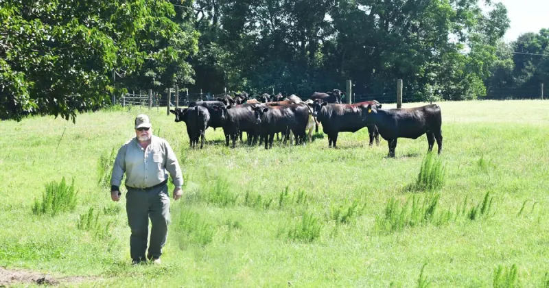 At 100, Carthage Farm Is Just Getting Warmed Up