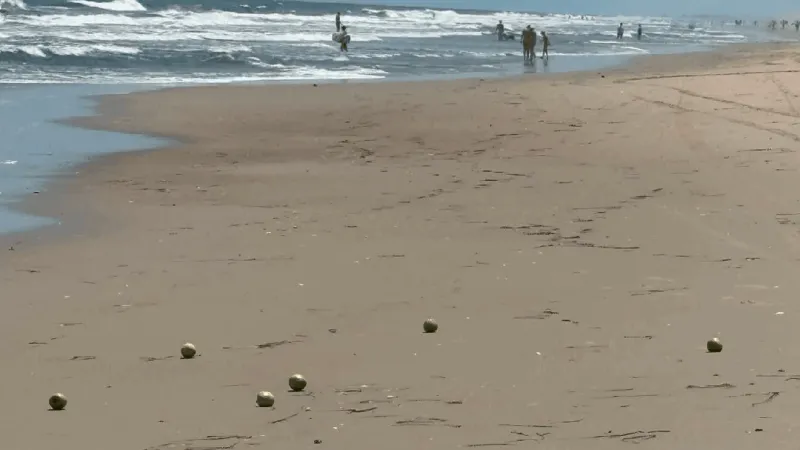 Apples wash ashore on Outer Banks, prompting unusual cleanup effort