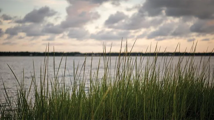 EMC to hear progress on habitat protection plan update