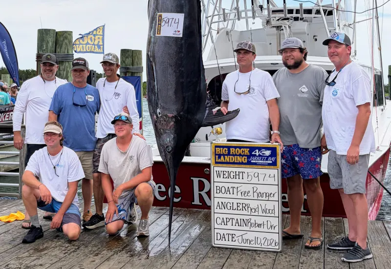 Locals land big ones in blue marlin tourney