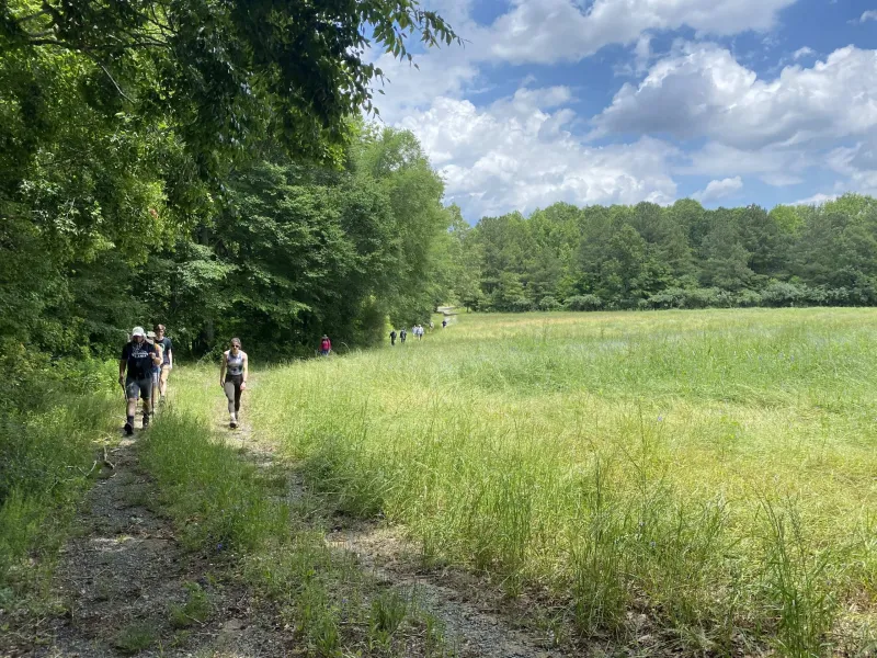 Embrace the Summer Hike: Here's How (and Why)