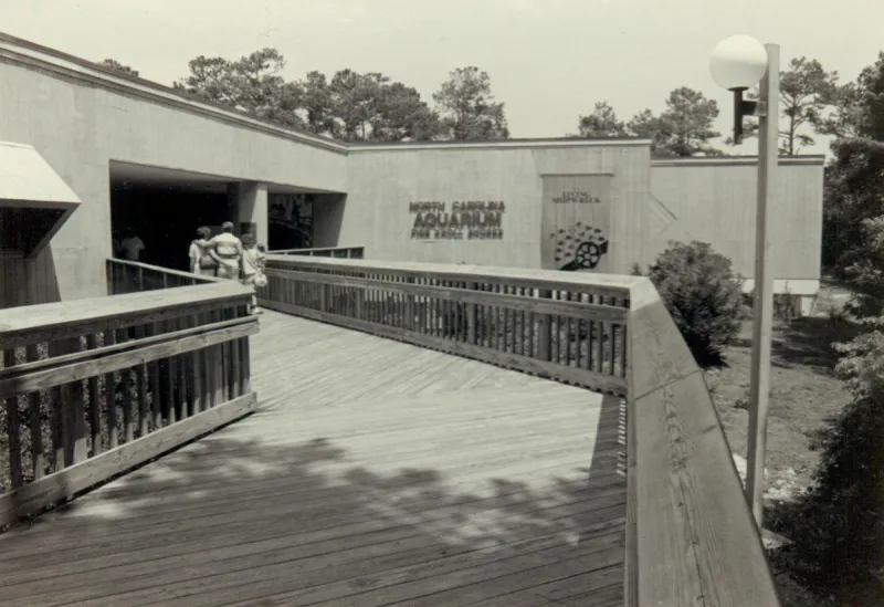 Pine Knoll Shores aquarium readies for 'Birthday Splash'