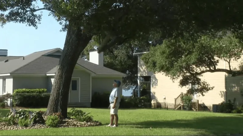 Swansboro retiree digs in, planting live oaks to keep ENC in the shade