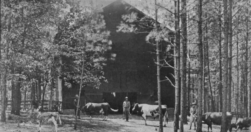 Preserving the 'Farm Life' in Eureka