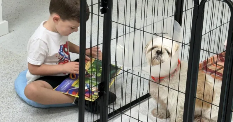 Rescue Reader Program Teaches and Heals