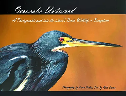 'Ocracoke Untamed' captures the island's rich natural world