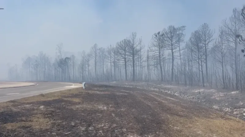Quarry Road Fire reaches 300 acres, 10% contained; 30 homes threatened in Shallotte