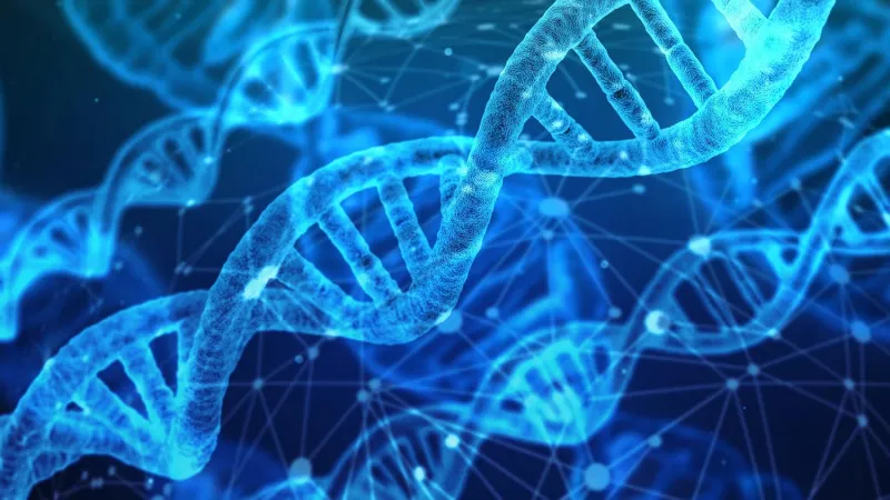 Scientists Are Getting Better at Predicting Which DNA Sequences Bind to Each Other. AI is Helping.