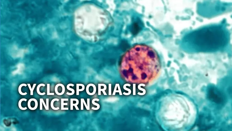 Cyclosporiasis concerns have Eastern NC shoppers looking closer at produce