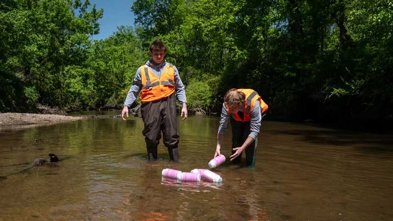 Find a special bottle in the water and you can help scientists