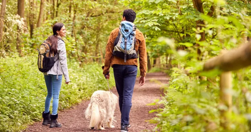 Tick season is getting longer. So is the list of states trying to keep up