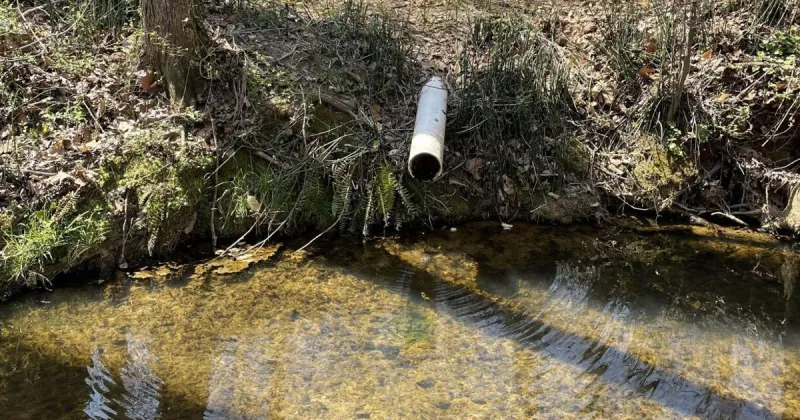 Horneytown trailer park fined for piping more feces-laden wastewater into Forsyth creek