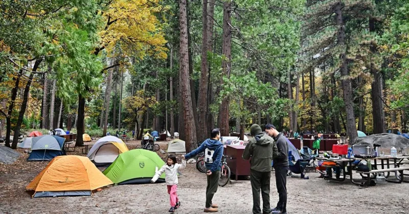 Crushing crowds turn Yosemite into 'Disneyland.' Can visitors still have fun?