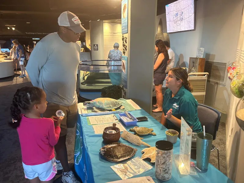 Fort Fisher aquarium seeks exhibitors for 'Femme in STEM'