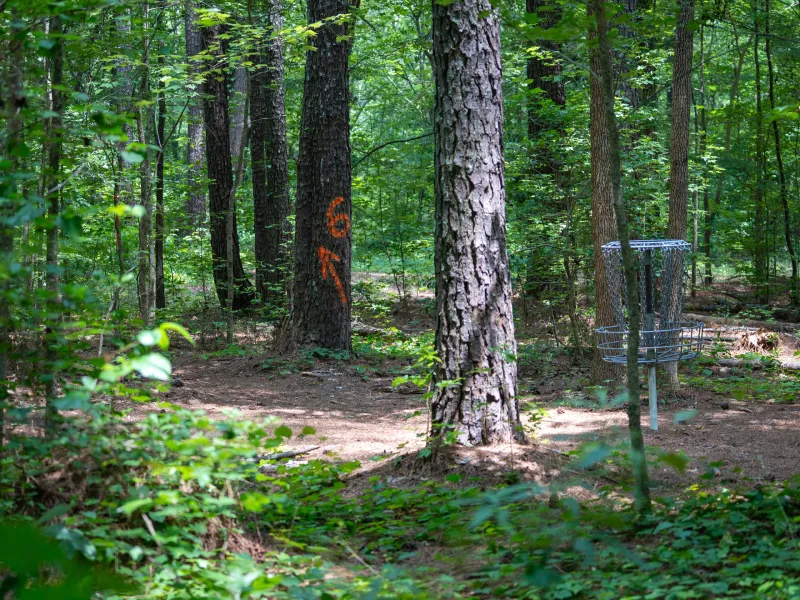 Work underway to improve walking trails, disc golf course