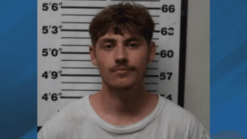 Former sheriff's son charged after alleged domestic incident at bar