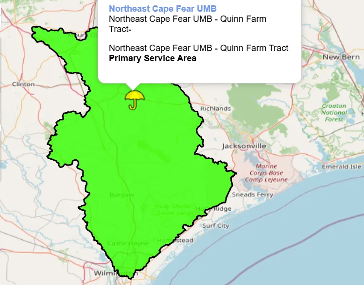 Wetland mitigation bank proposed for Cape Fear River Basin