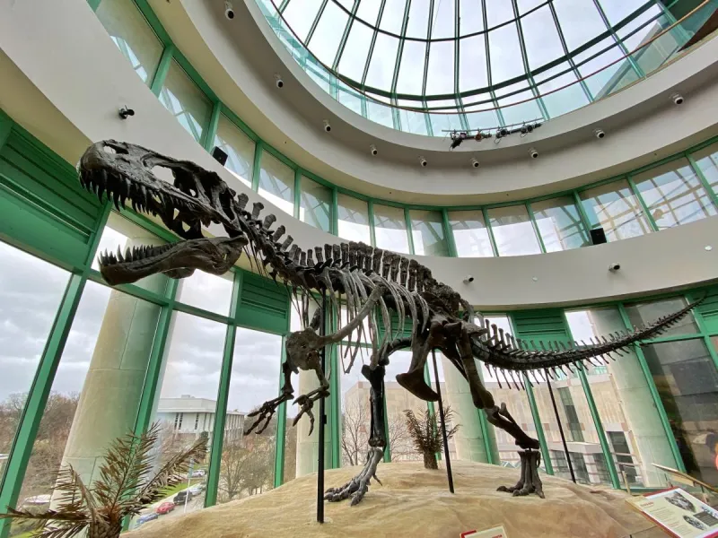 What's the Biggest Tourist Attraction in Raleigh?