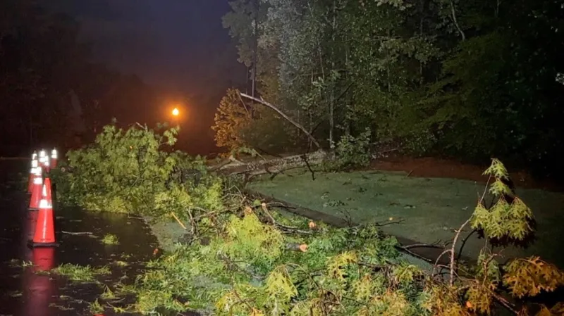 Overnight Storms Leave Trail Of Damage