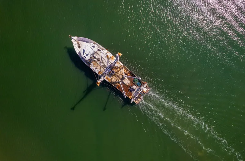 Standard commercial fishing license applications due Sept. 21