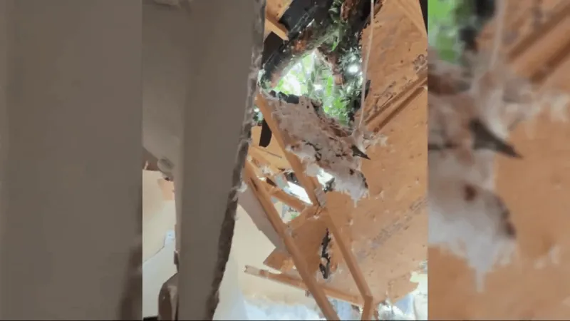 Tree crashes through Beaufort County home as storm leaves scattered damage