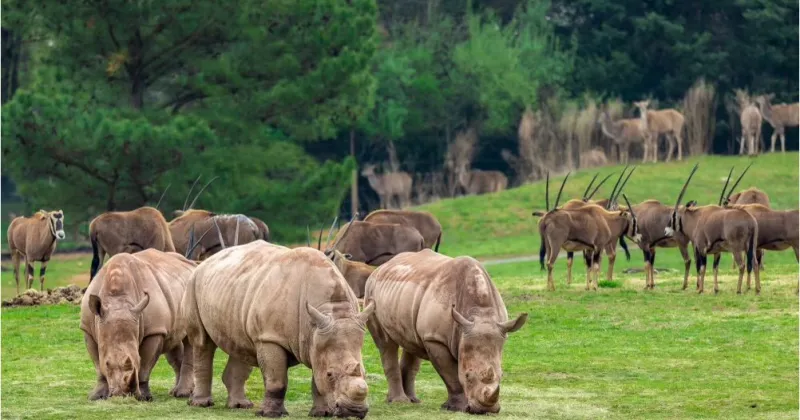 The wild side: 6 animal attractions worth the drive before school starts