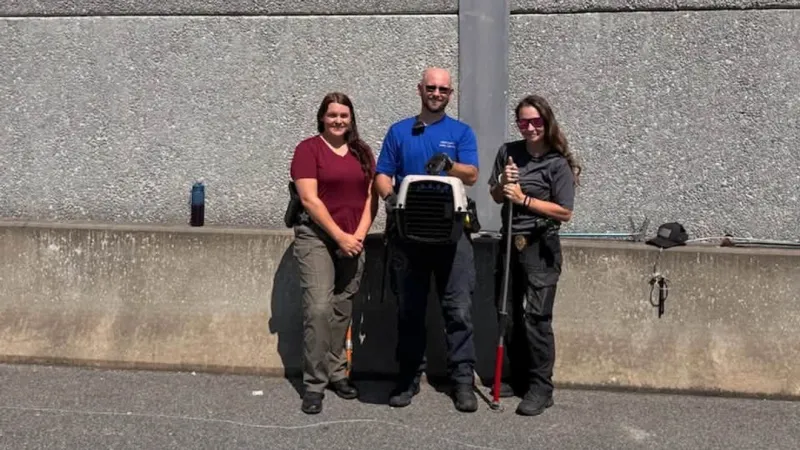 Lenoir County officers rescue kitten from a tight gap along C.F. Harvey Parkway