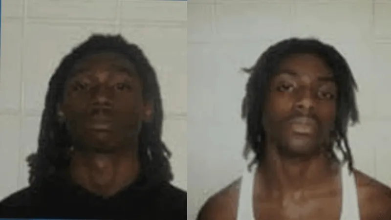 Two held without bond after multiple firearms stolen in Wallace-area break-in