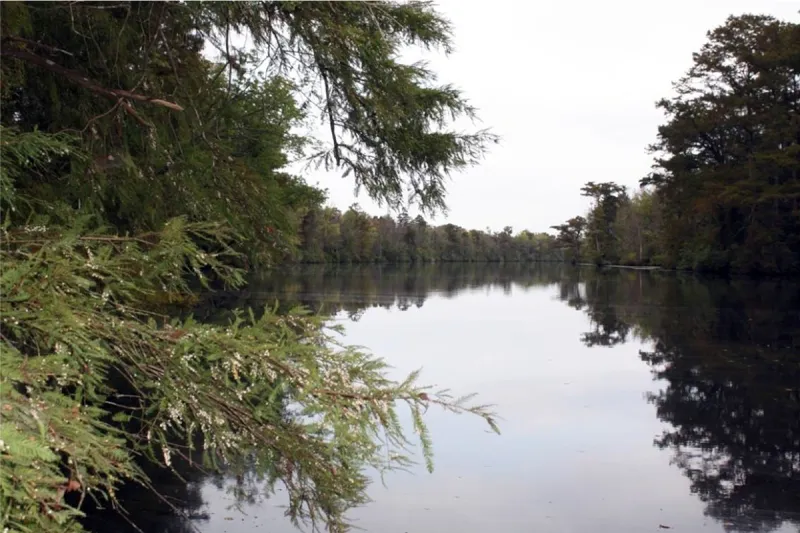 Public may comment on proposed wildlife rule changes