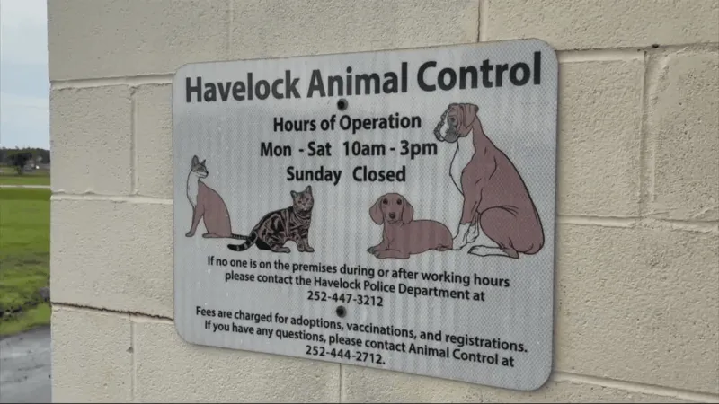 Petition to restore Havelock Animal Services volunteers tops 1,400 signatures