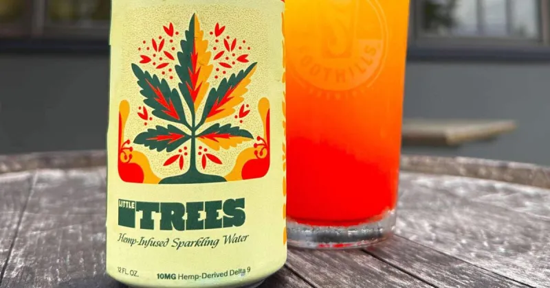 Foothills Brewing to lawmakers: Regulate but do not ban THC drinks