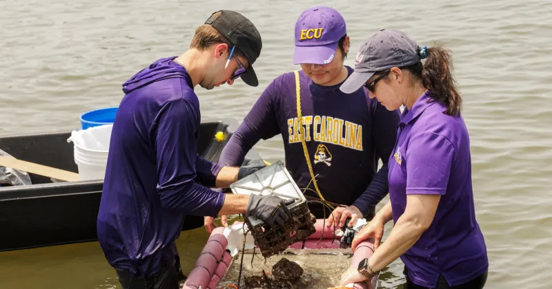 ECU ecologists collaborate on reef, habitat restoration projects to protect shorelines, tourism