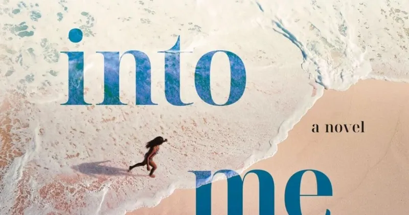 'The Idea of You' author Robinne Lee returns with 'Crash Into Me'