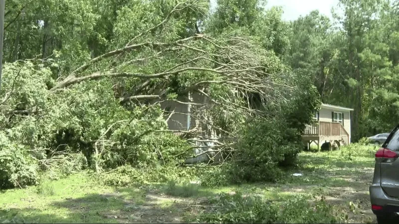Beaufort County family won't return after storm-toppled tree leaves home a total loss