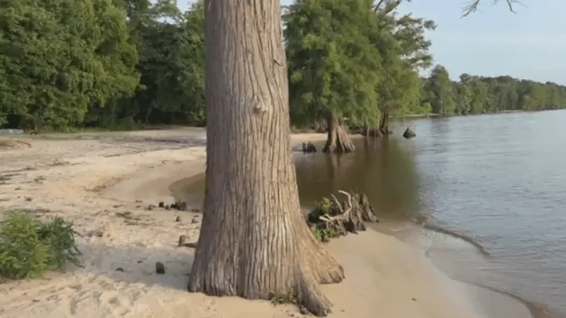Bertie County seeks public input on beach expansion grant