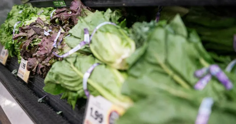 Food recalls keep growing. Eggs, lettuce, soup and more affected