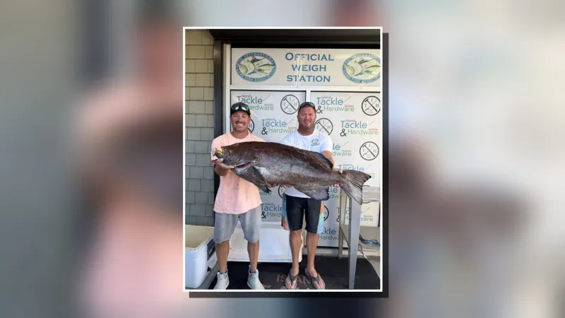 45-pound yellowfin grouper sets NC record after being hooked 45 miles off Carolina Beach