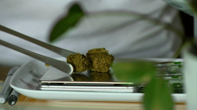 North Carolina Sen. Ted Budd pushes to keep federal hemp THC ban on track